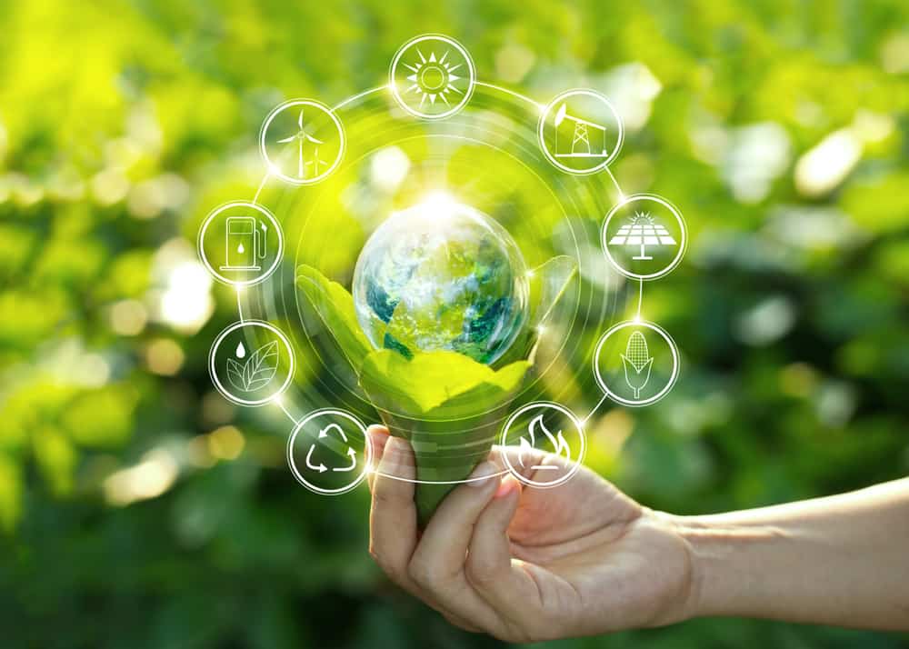 Sustainability and Eco-Friendly Practices